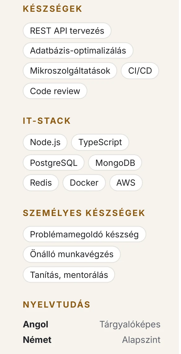 Önéletrajz minta: készségek, IT-stack, személyes készségek és nyelvtudás címkékben